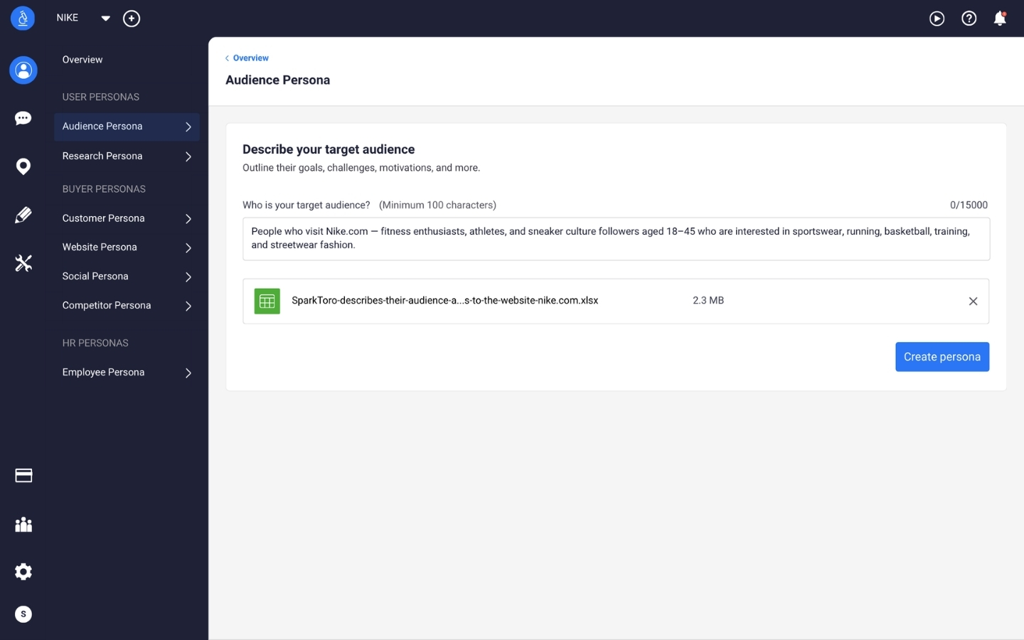 Delve AI audience persona dashboard
