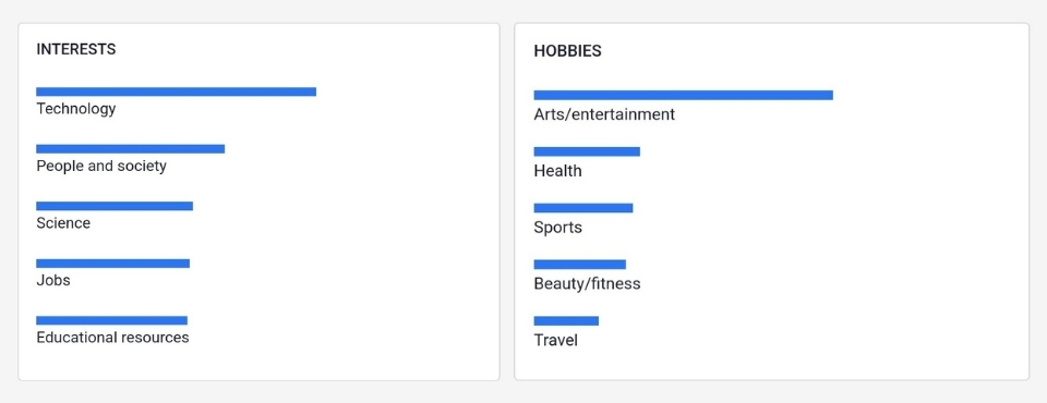 Delve AI audience persona hobbies
