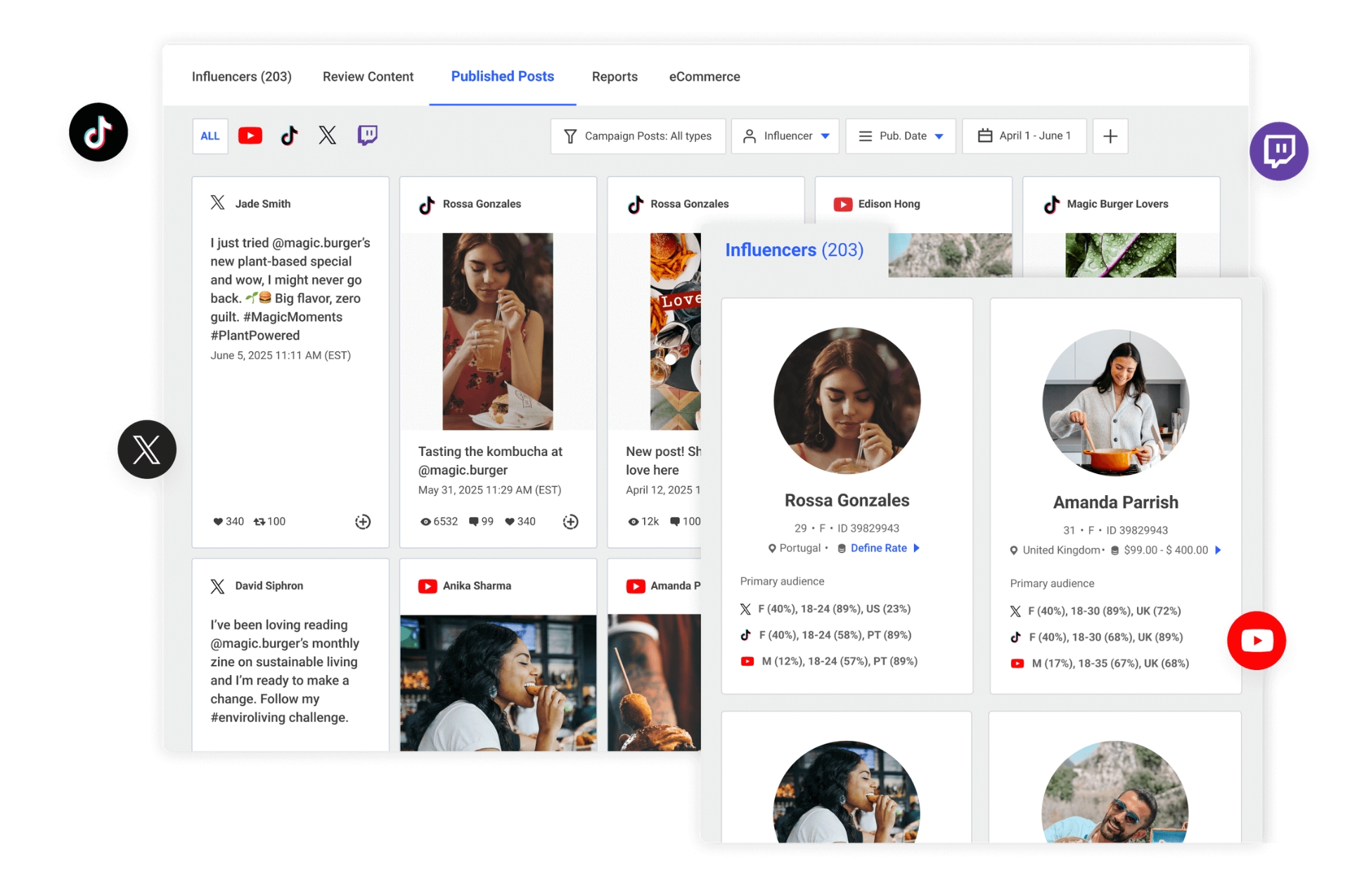 Brandwatch influencers
