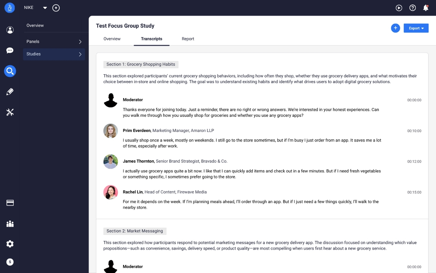 Delve AI focus group transcripts