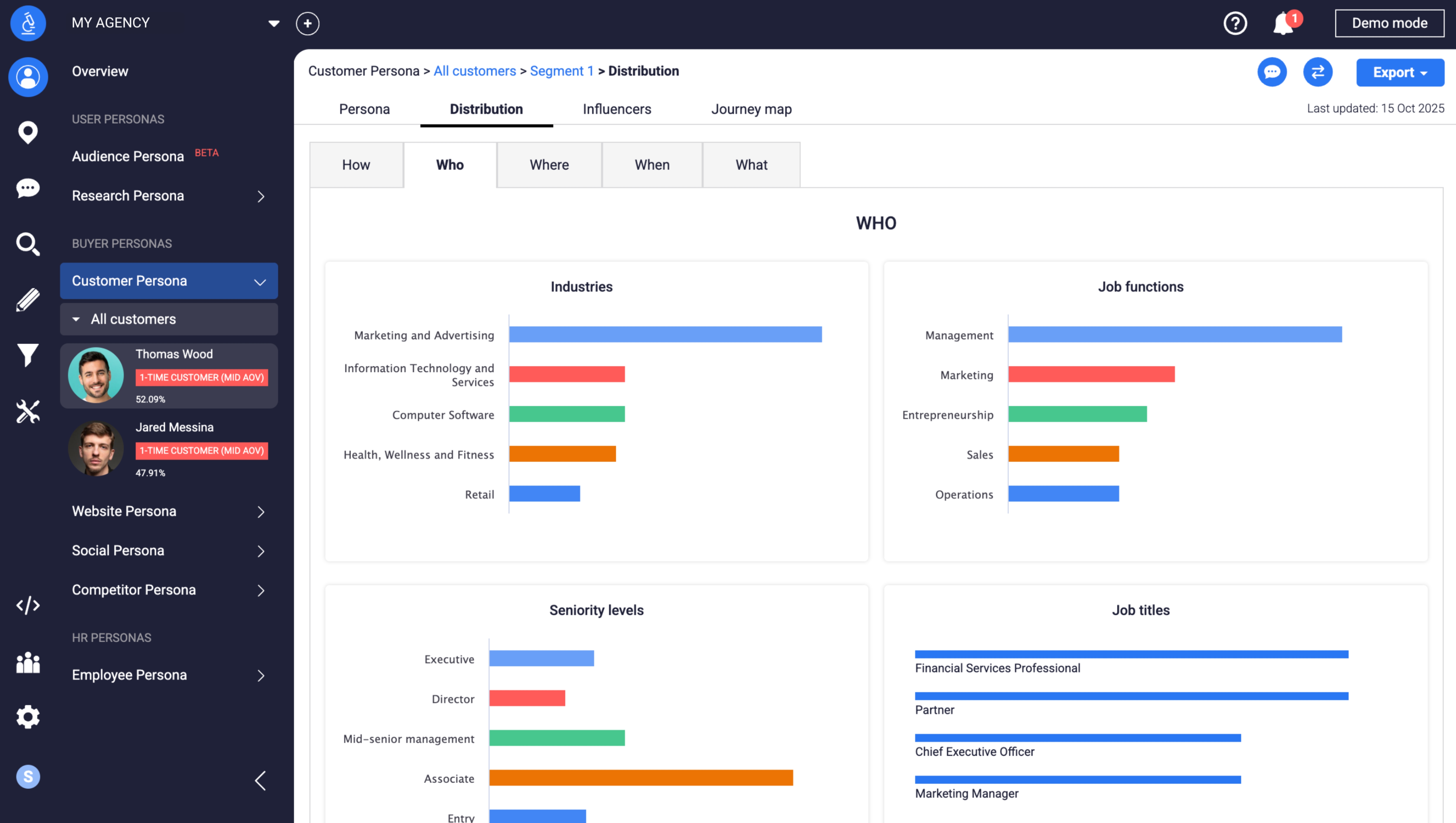 Delve AI customer persona when