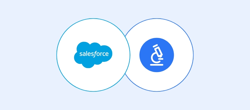 Create Personas with Salesforce CRM data | Customer Persona by Delve AI