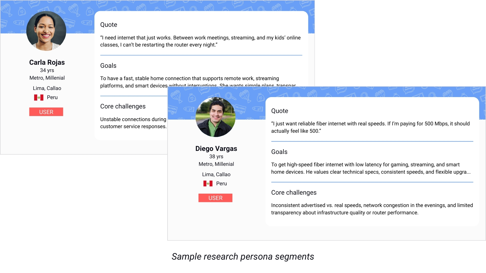 research persona segments sample